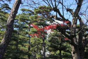 shikoku22 0008