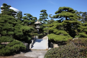 shikoku22 0010