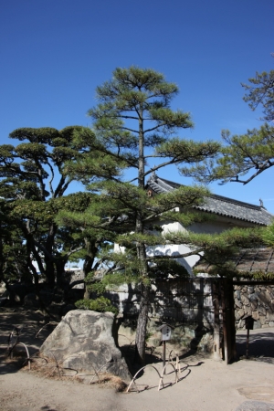 shikoku22 0012