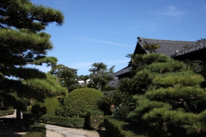 shikoku22 0021
