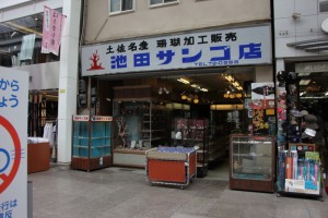 shimanto 111