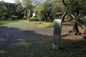shimanto 139