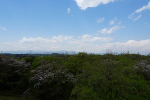 musashigaoka 018