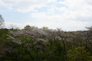musashigaoka 019