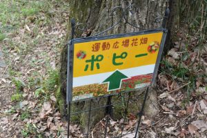 musashigaoka 050