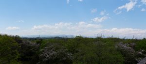 musashigaoka 059
