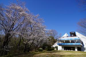 shinrinkouen 028