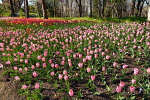 shinrinkouen 072