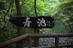 白神山地・秋田側２０１０