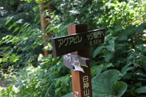 白神山地・自然遊歩道