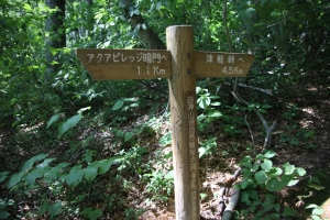 shirakami 0049