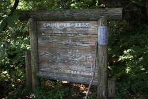shirakami 0052