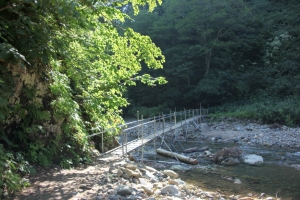 shirakami 0053