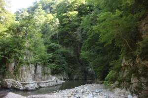 shirakami 0056