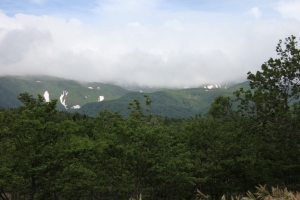 shiretoko2 0063