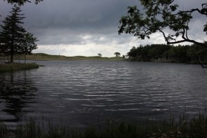 shiretoko2 0066