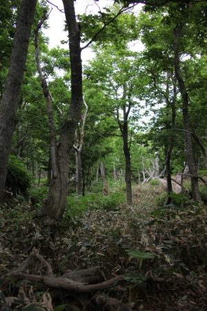 shiretoko2 0070