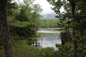 shiretoko2 0072