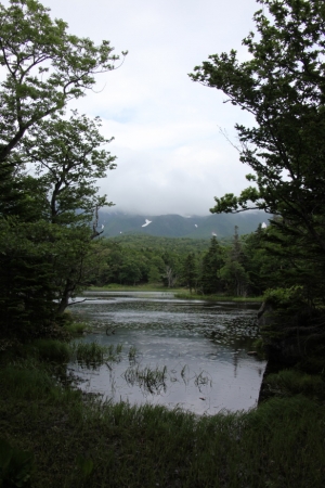 shiretoko2 0073