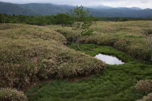 shiretoko2 0080