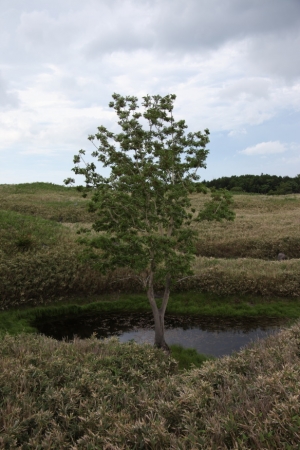 shiretoko2 0084