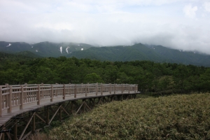 shiretoko2 0086
