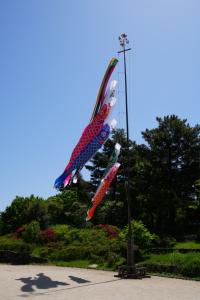 showa nemo 033