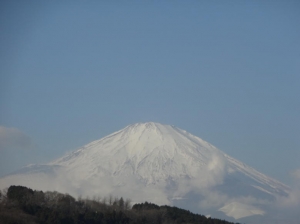 surugawan 004