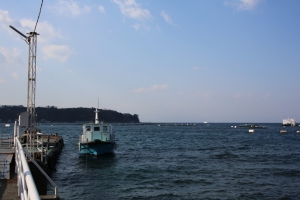 surugawan 011