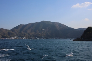 surugawan 029