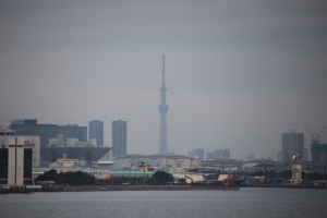 newyear cruise 031