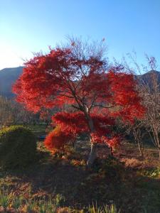 takakura 003
