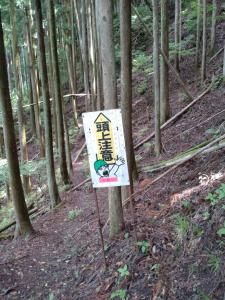 takekawadake 008