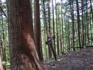 takekawadake 009