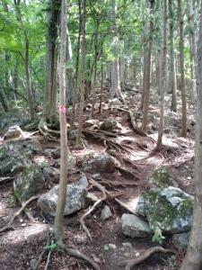 takekawadake 010