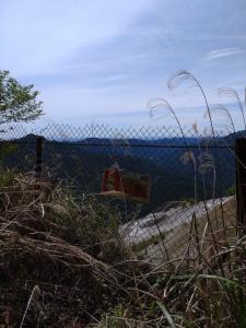 takekawadake 012