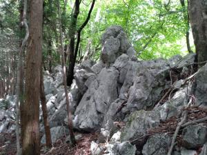 takekawadake 014