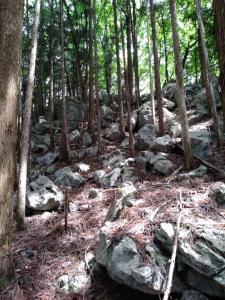 takekawadake 015