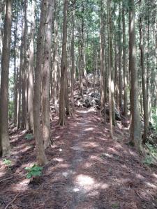 takekawadake 016