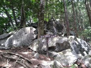 武川岳～二子山縦走（１／２）