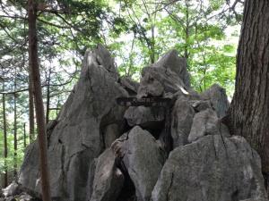 takekawadake 018