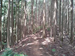 takekawadake 019