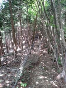 takekawadake 021