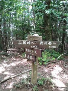 takekawadake 022