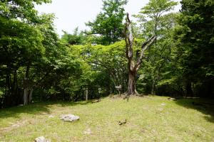 takekawadake 030
