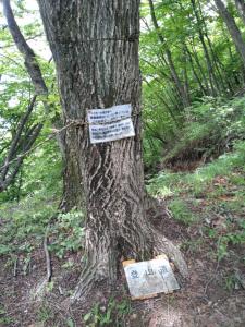 takekawadake 040