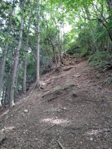 takekawadake 043
