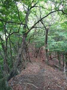 takekawadake 050