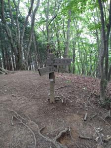 takekawadake 056