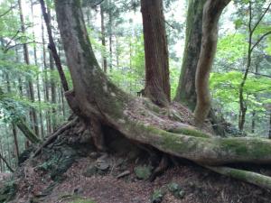 takekawadake 062